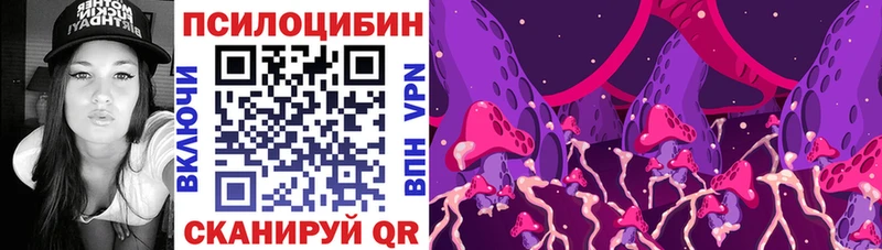 Псилоцибиновые грибы GOLDEN TEACHER купить наркотик Адыгейск